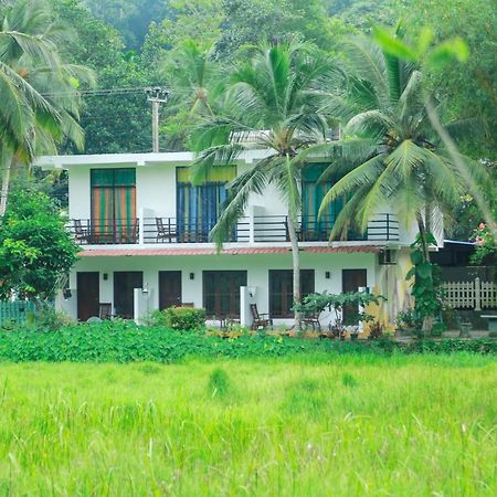 Paddy Field View Resort Mirissa Buitenkant foto