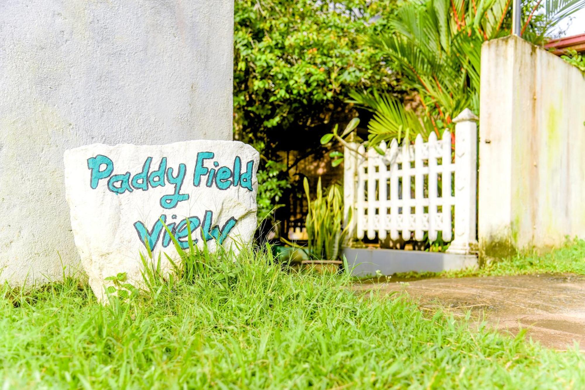 Paddy Field View Resort Mirissa Buitenkant foto