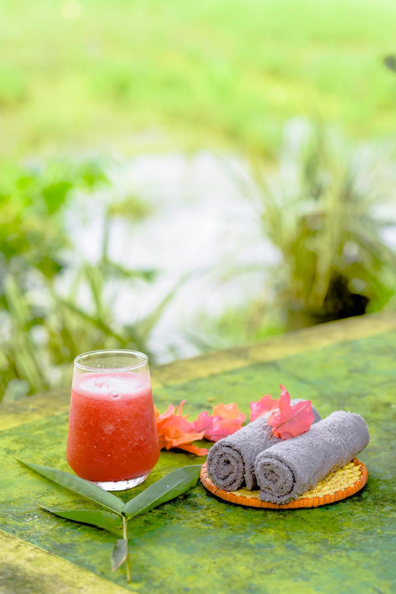 Paddy Field View Resort Mirissa Buitenkant foto