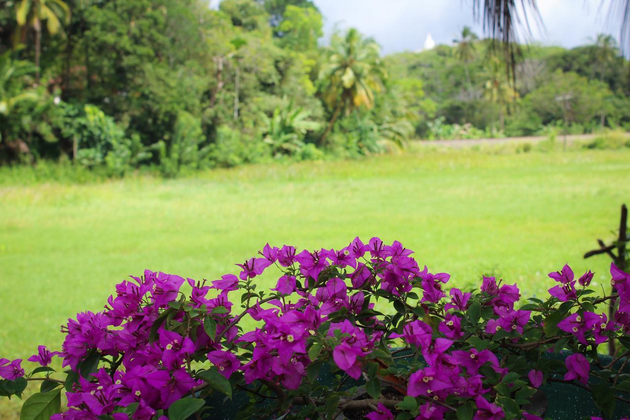 Paddy Field View Resort Mirissa Buitenkant foto