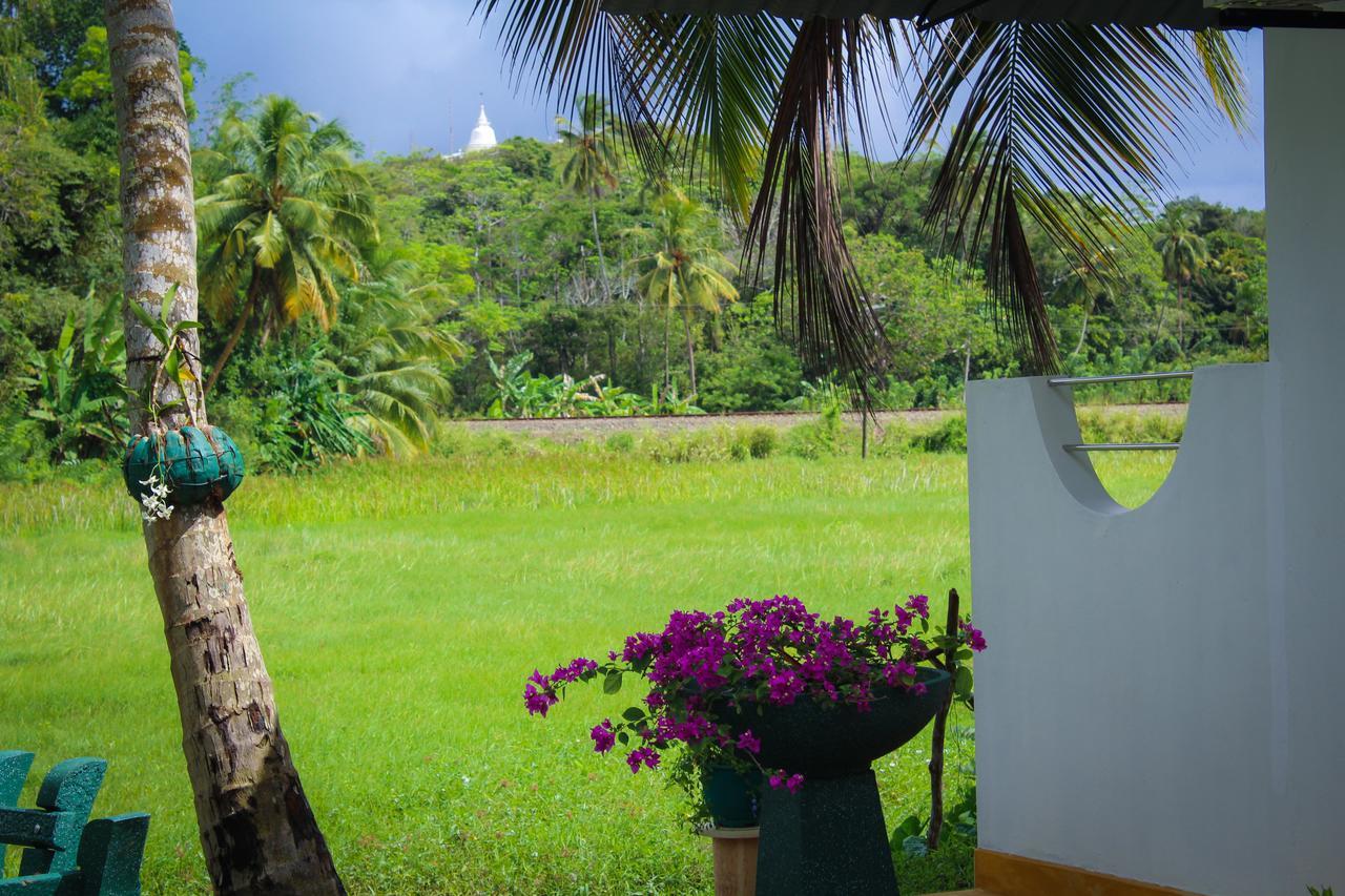 Paddy Field View Resort Mirissa Buitenkant foto