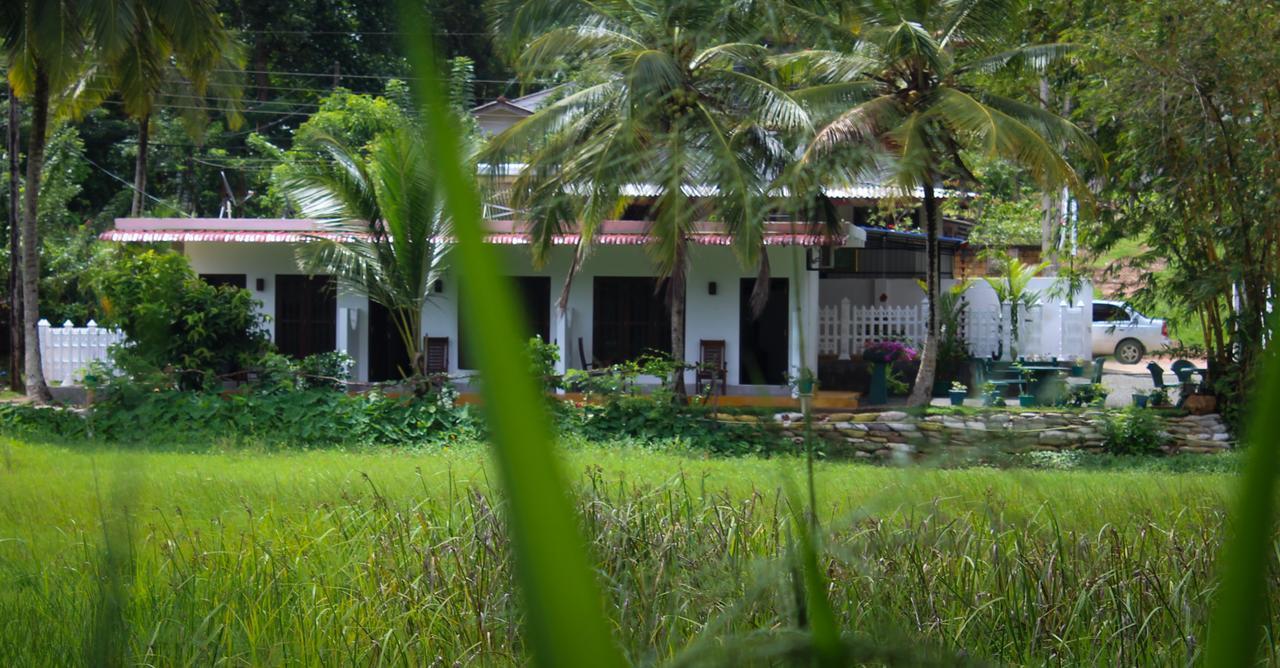 Paddy Field View Resort Mirissa Buitenkant foto