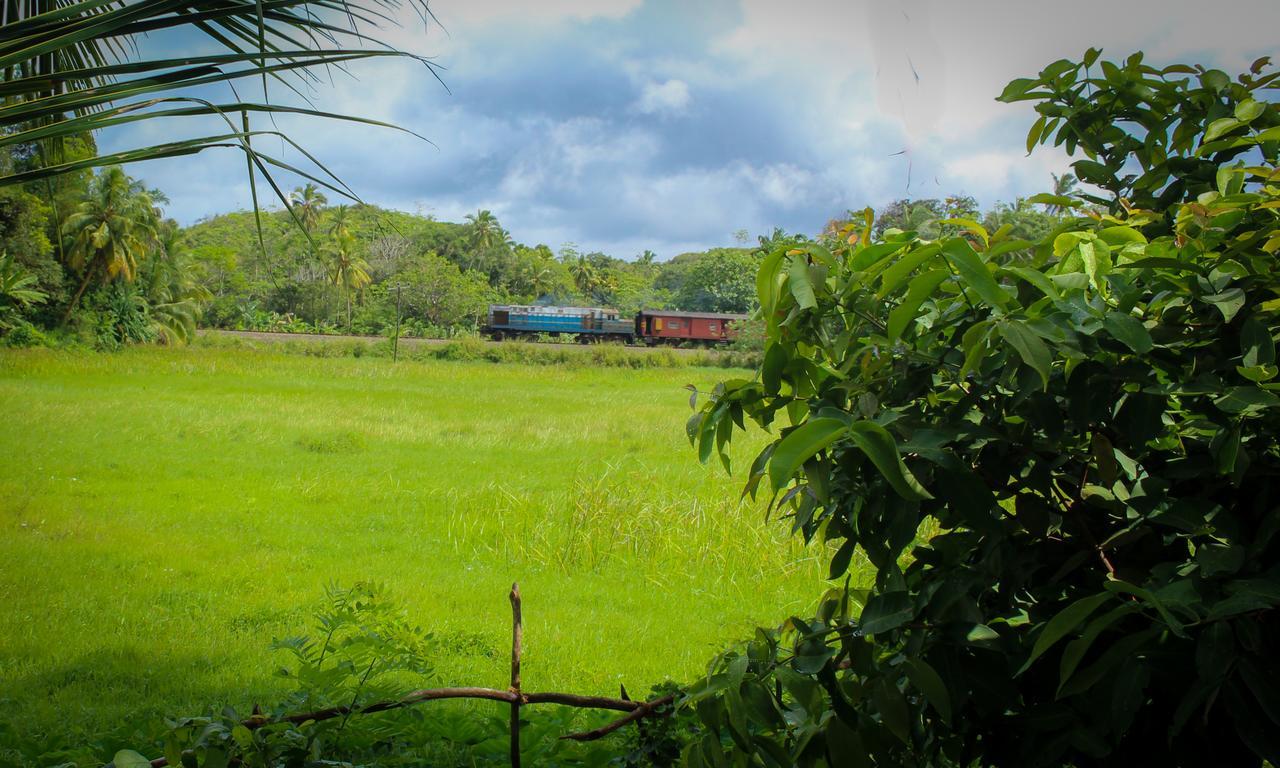 Paddy Field View Resort Mirissa Buitenkant foto