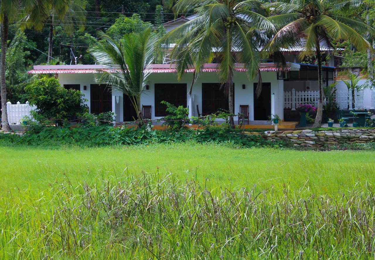 Paddy Field View Resort Mirissa Buitenkant foto