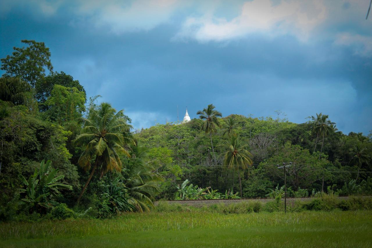 Paddy Field View Resort Mirissa Buitenkant foto