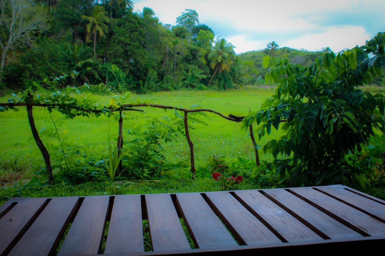 Paddy Field View Resort Mirissa Buitenkant foto