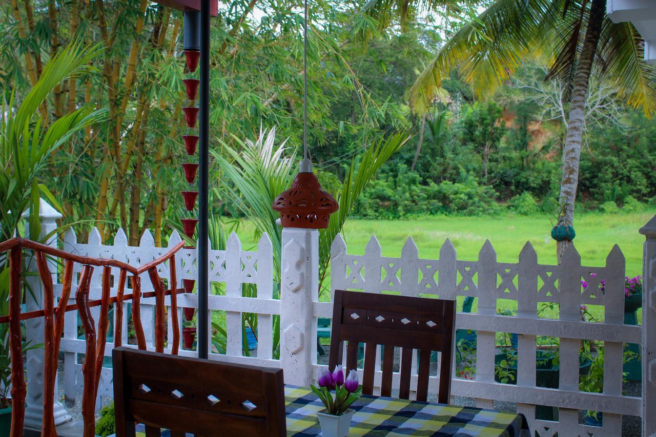 Paddy Field View Resort Mirissa Buitenkant foto