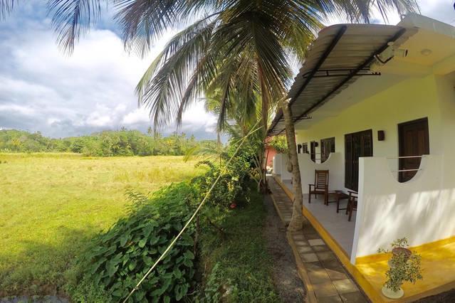 Paddy Field View Resort Mirissa Buitenkant foto