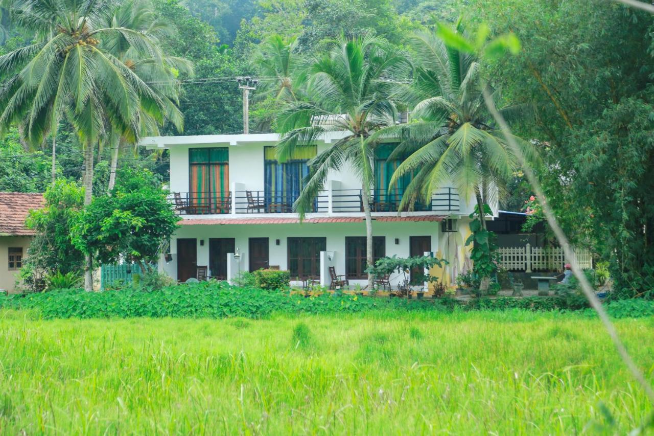 Paddy Field View Resort Mirissa Buitenkant foto